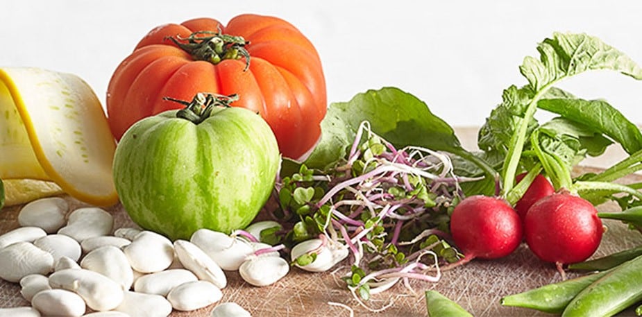 Go Healthy